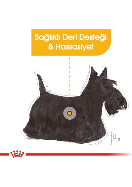CCN Mini Dermacomfort Adult Küçük Irk Yetişkin Köpek indirimleri