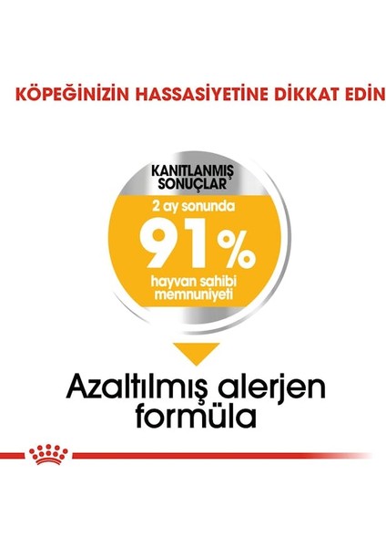 CCN Mini Dermacomfort Adult Küçük Irk Yetişkin Köpek