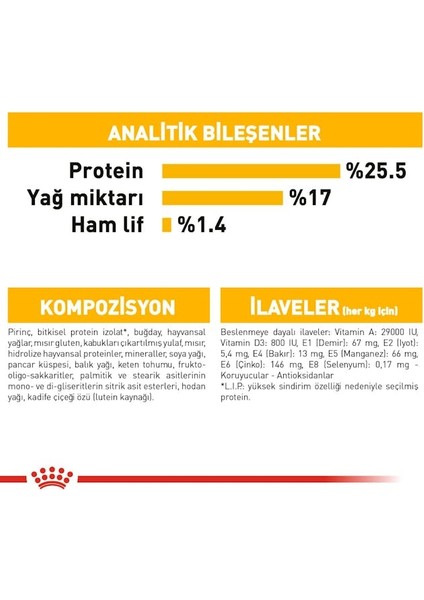 CCN Mini Dermacomfort Adult Küçük Irk Yetişkin Köpek