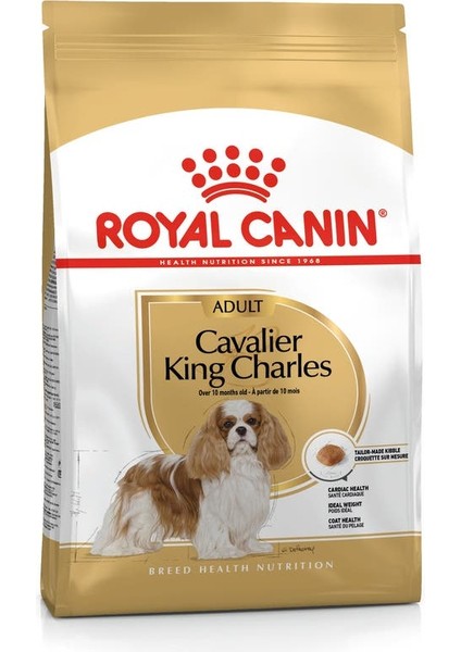 Cavalier King Charles Adult Yetişkin Köpek Maması 3 K