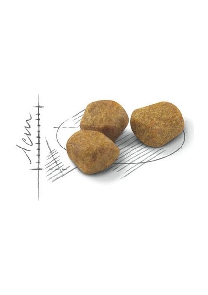 Indoor +7 Yaşlı Ev Kedi Maması 3,5 Kg fiyatları