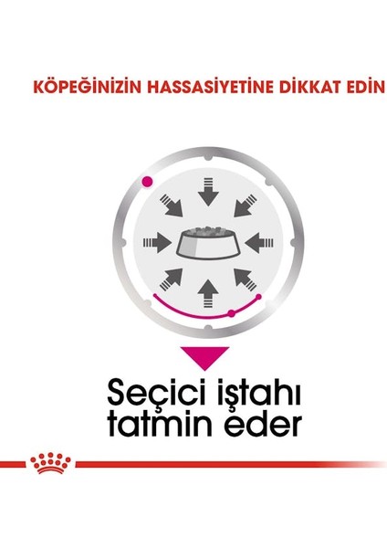 Exigent Seçici Köpekler için Yaş Köpek Maması 12 x 85g indirimleri