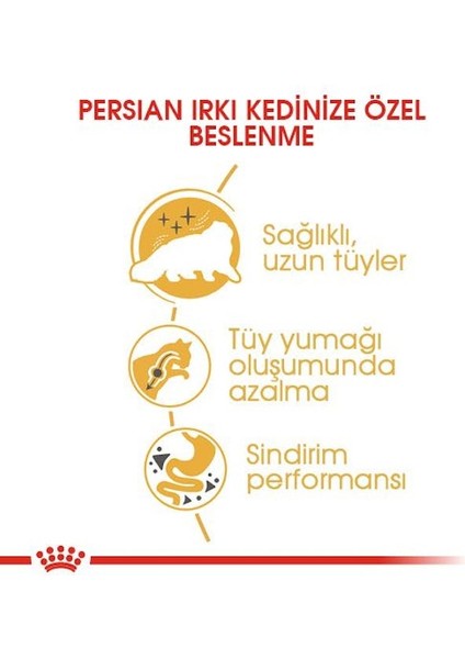 Persian Adult Kuru Kedi Maması 4 kg