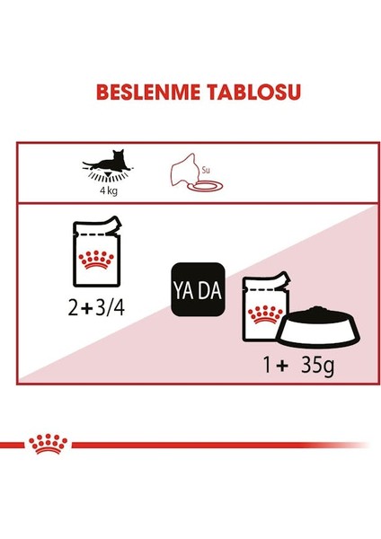 Instinctive Yaş Kedi Maması 85g