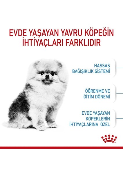 Mını Indoor Puppy Küçük Irklar Için Indoor Yavru Kuru Köpek Mamas indirimleri