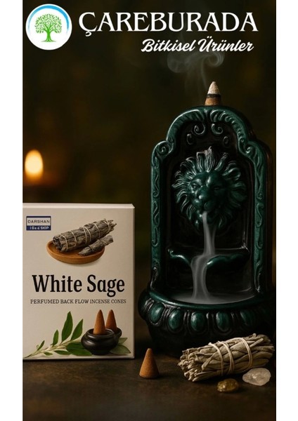 White Sage Geri Akış Tütsüsü + Aslan Ağzı Seramik Şelale Tütsülük