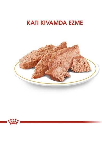 Pomeranian Yaş Köpek Maması 85g