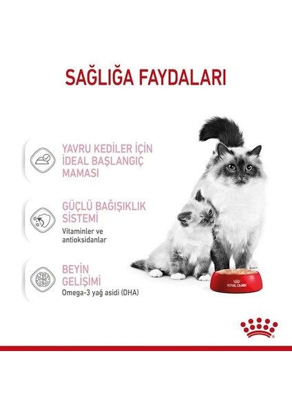 Mother&babycat Gebe/laktasyondaki Anne Ve Yavru Kedi Için Kedi Ko fırsatları