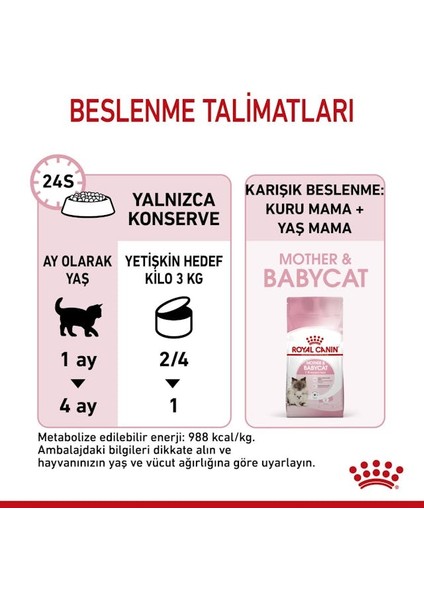 Mother&babycat Gebe/laktasyondaki Anne Ve Yavru Kedi Için Kedi Ko