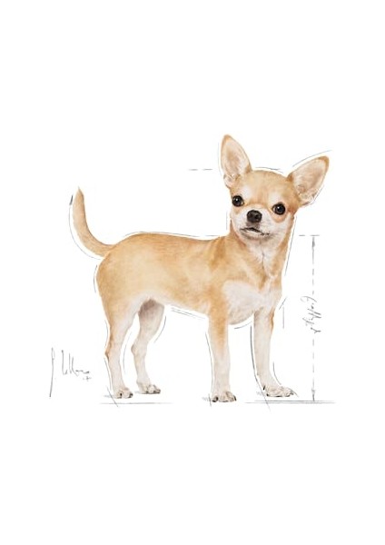 Chihuahua Kuru Köpek Maması 1.5kg