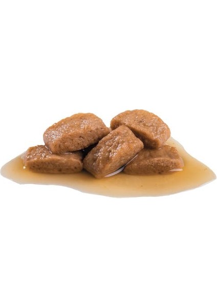 Büyük Irklar için Yaş Köpek Maması 10 x 140g fiyatları