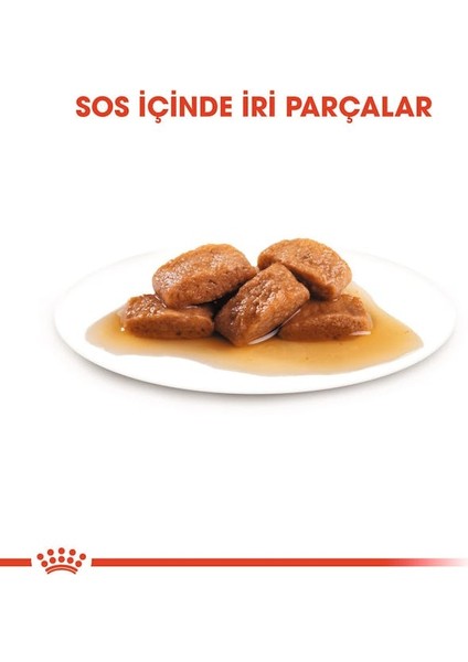 Büyük Irklar için Yaş Köpek Maması 10 x 140g indirimleri