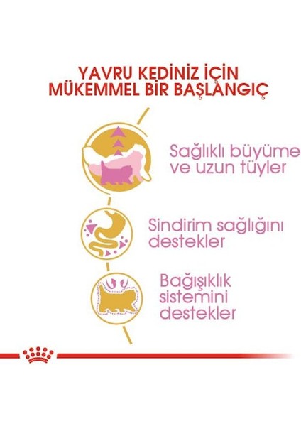 İran Kedisi için Yavru Kedi Maması 2kg