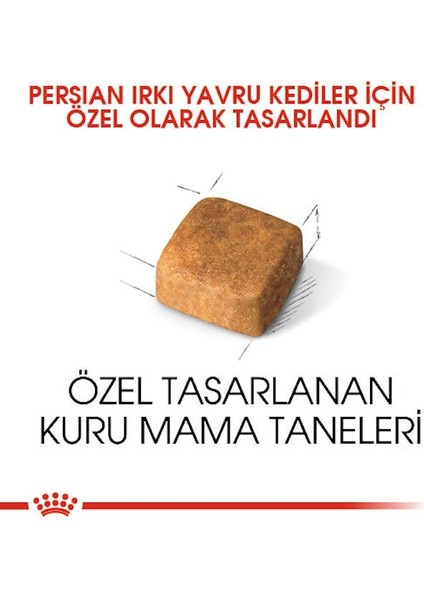 İran Kedisi için Yavru Kedi Maması 2kg