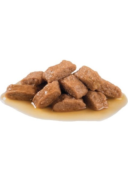 Orta Irklar için Yaş Köpek Maması 140g fiyatları