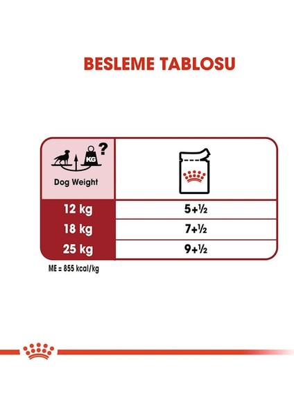 Orta Irklar için Yaş Köpek Maması 140g