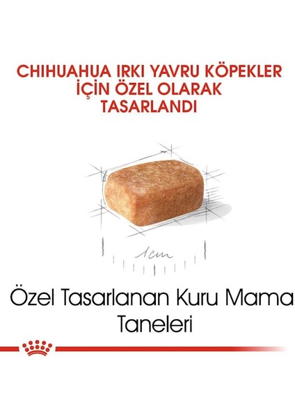 Chihuahua Yavru Köpek Maması 1.5kg