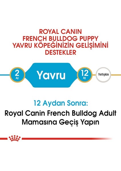 Fransız Bulldog Yavru Köpek Maması 3kg