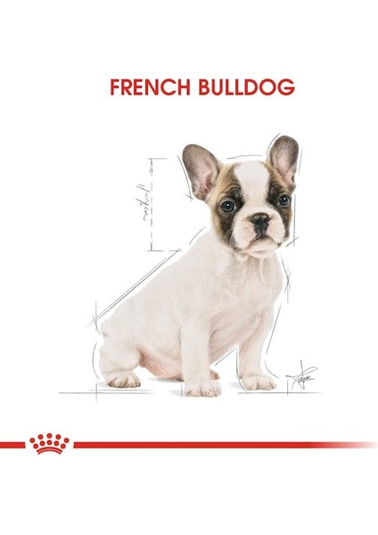 Fransız Bulldog Yavru Köpek Maması 3kg