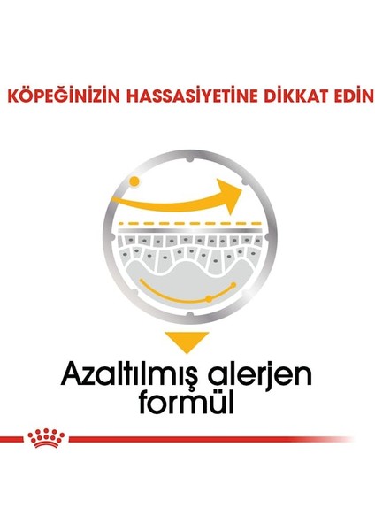 Dermacomfort Yaş Köpek Maması 12 x 85g