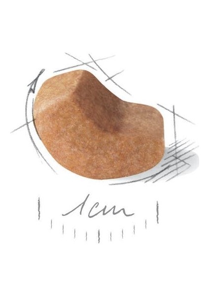 Shih Tzu Yavru Köpek Maması 1.5kg