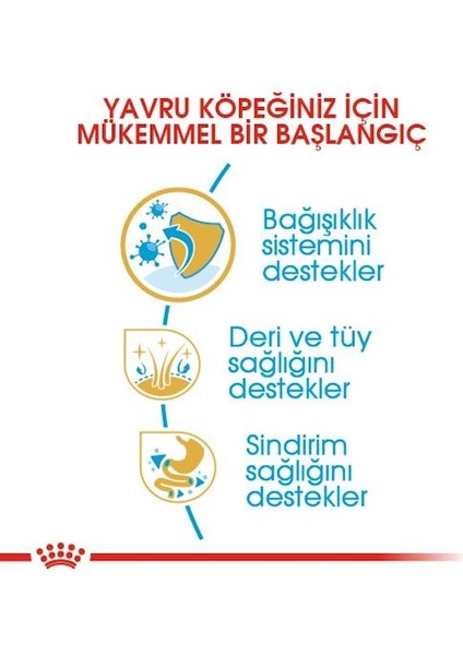 Shih Tzu Yavru Köpek Maması 1.5kg