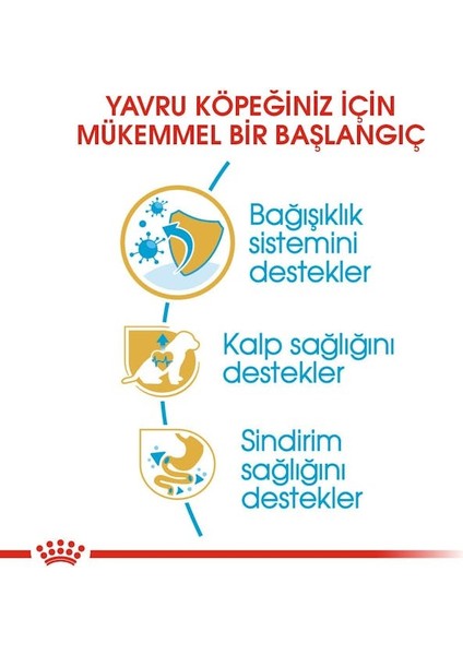 Cavalier King Charles Yavru Köpek Maması 1.5kg