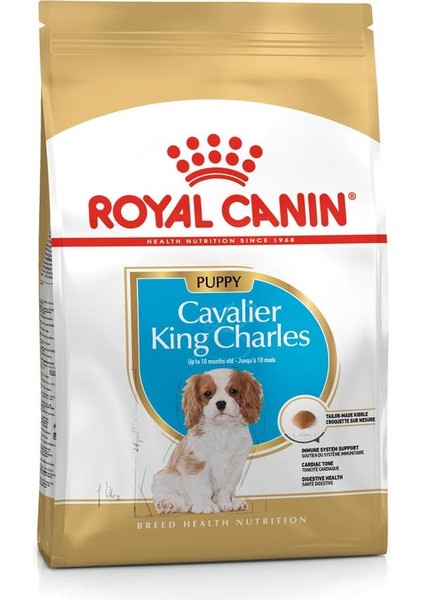 Cavalier King Charles Yavru Köpek Maması 1.5kg