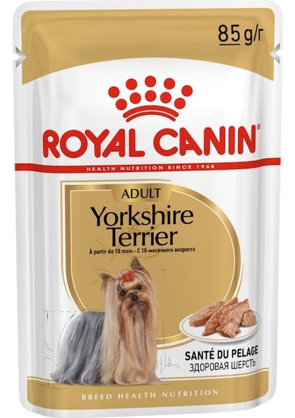 Yorkshire Terrier Yaş Köpek Maması 12 x 85g