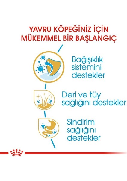 Cocker Yavru Köpek Maması 3kg