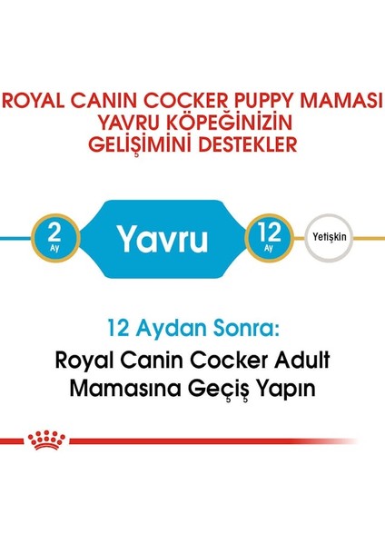 Cocker Yavru Köpek Maması 3kg