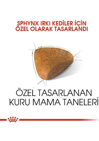 Sfenks Için Yetişkin Kuru Kedi Maması 2kg