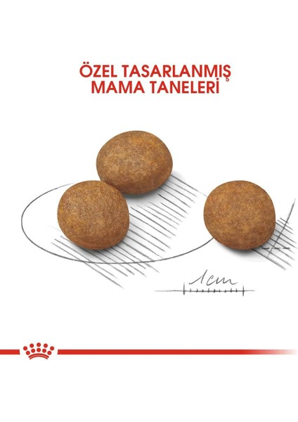 Maxi Puppy Büyük Irk Yavru Köpek Maması 10 Kg