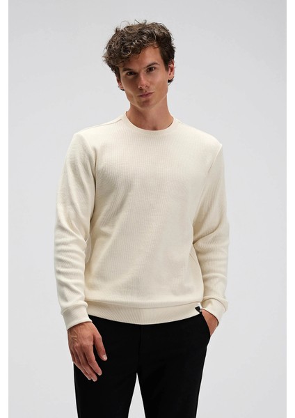 % 100 Pamuk Regular Fit Bisiklet Yaka Kazak Erkek Kazak EM615