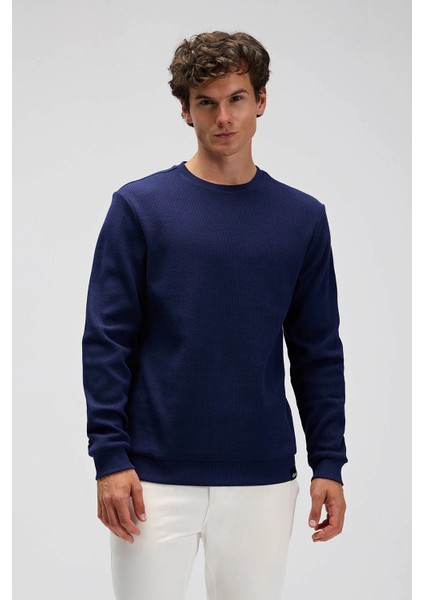 % 100 Pamuk Regular Fit Bisiklet Yaka Kazak Erkek Kazak EM615