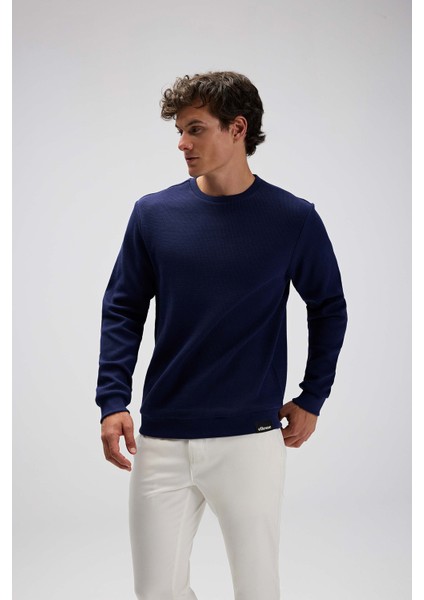 % 100 Pamuk Regular Fit Bisiklet Yaka Kazak Erkek Kazak EM615 modelleri