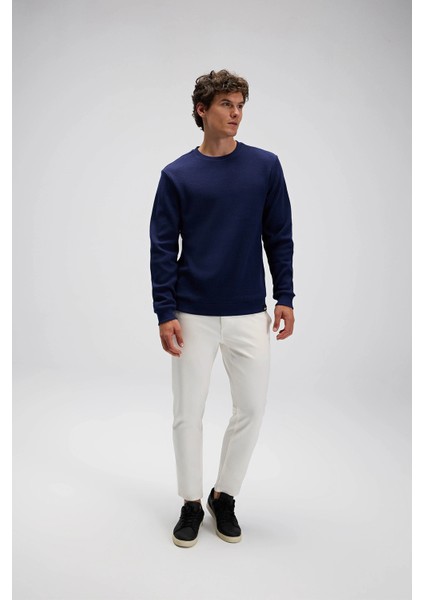 % 100 Pamuk Regular Fit Bisiklet Yaka Kazak Erkek Kazak EM615 fırsatları