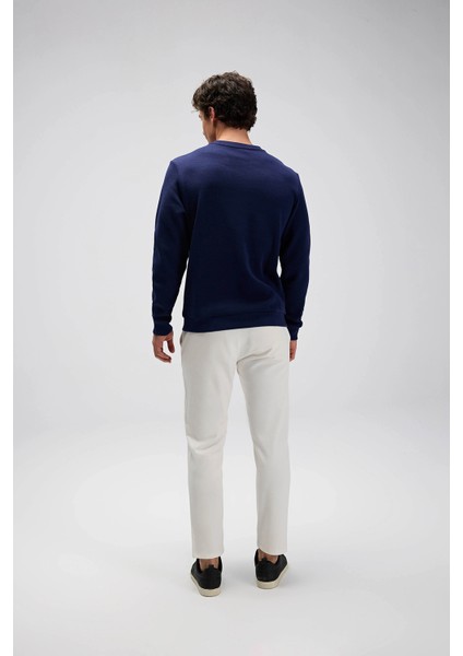 % 100 Pamuk Regular Fit Bisiklet Yaka Kazak Erkek Kazak EM615