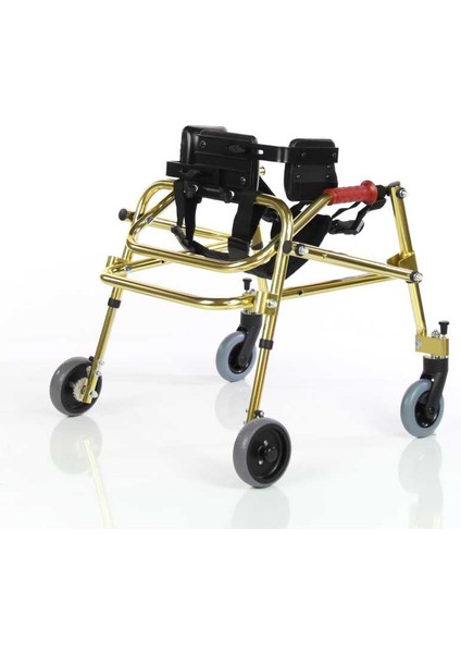 WG-W940 Pediatrik Kademeli Walker modelleri