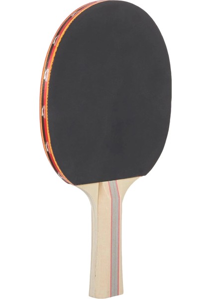Rak 200 Masa Tenisi Raketi 2 Yıldız modelleri