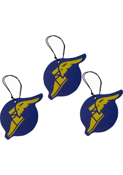 Karton 3'lü Oto Kokusu