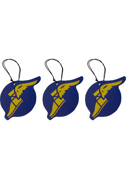 Karton 3'lü Oto Kokusu