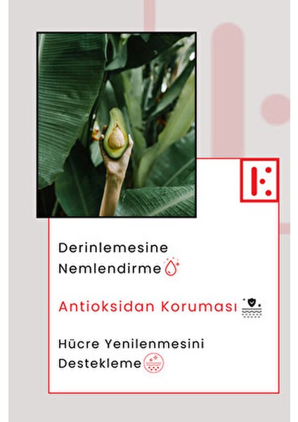 Avokado Özlü Ozonlu Besleyici Bakım Kremi 200 ml Derinlemesine Nemlendirici