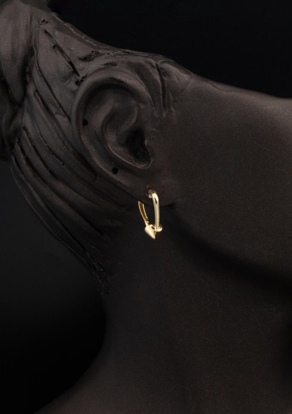 Çivili Kalp Altın Halka Küpe fiyatları