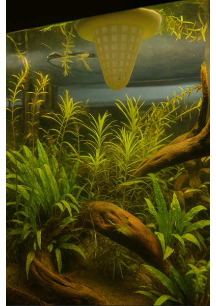 Akvaryum Balık Besleme Aparatı Yemleme Sepeti 7X7X6CM – Balık Yemi Tutucu Feeder