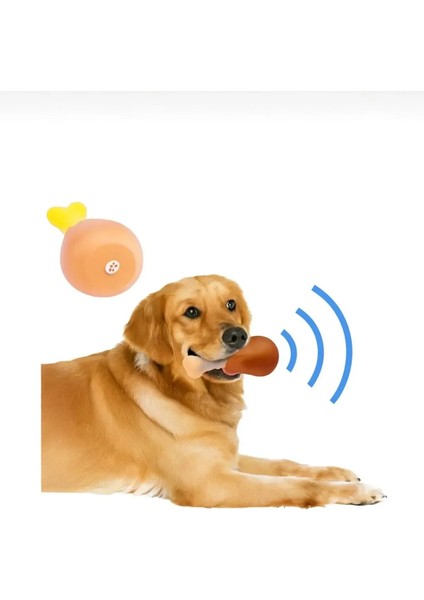 Sesli Kedi Köpek Tavuk But Oyuncağı | Öten ve Squeak Sesli Köpek Oyuncağı