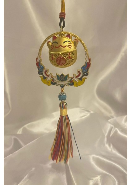 Feng Shui Para Kedisi Ejderha Yılı Buda Şans Para Bolluk Bereket Duvar Süsü modelleri