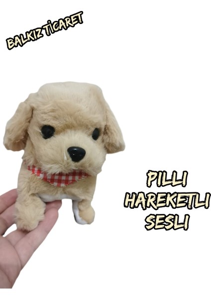 Pilli, Hareketli Oyuncak Köpek
