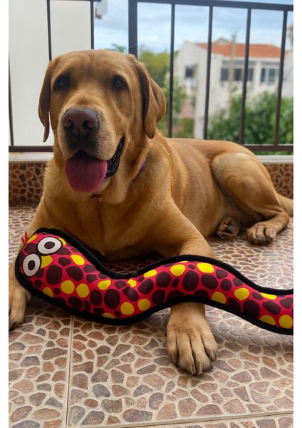 Peluş Yılan Köpek Oyuncağı | VikVik Sesli Köpek Oyun Arkadaşı 11x57 CM fiyatları