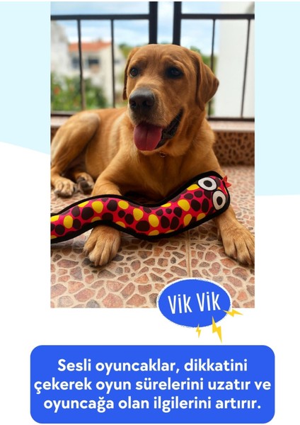 Peluş Yılan Köpek Oyuncağı | VikVik Sesli Köpek Oyun Arkadaşı 11x57 CM